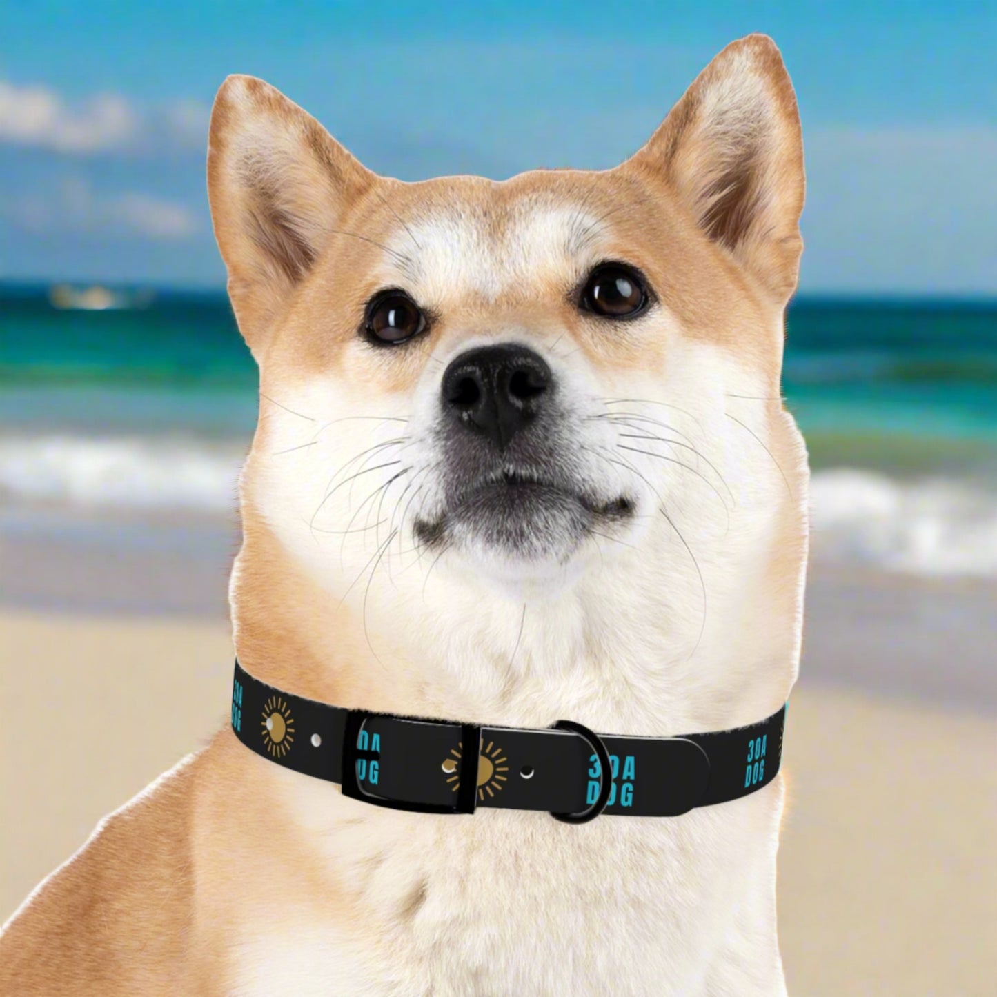 30A Dog Collar Black