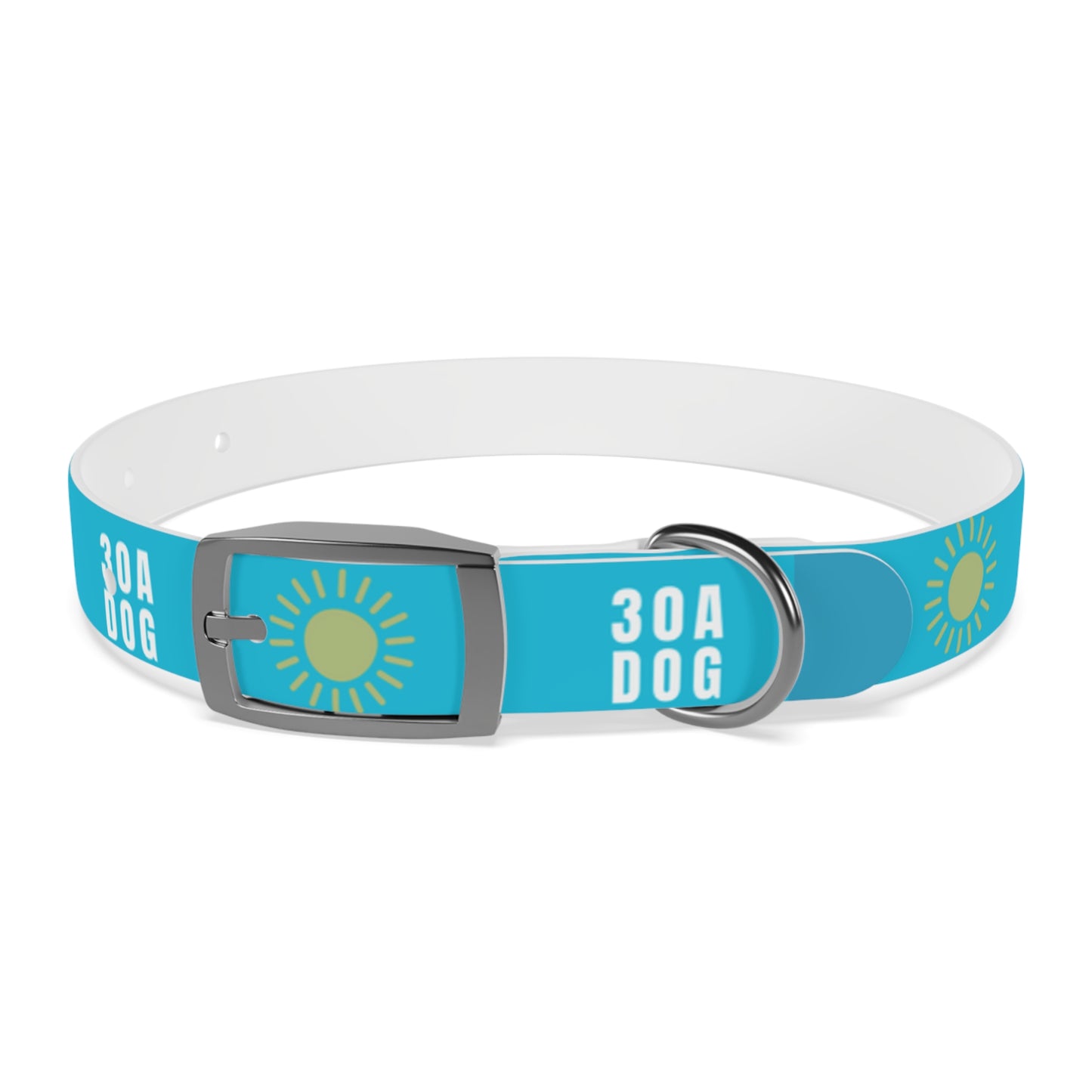 30A Dog Collar Turquoise