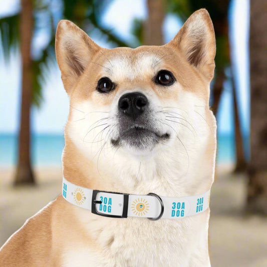 30A Dog Collar White