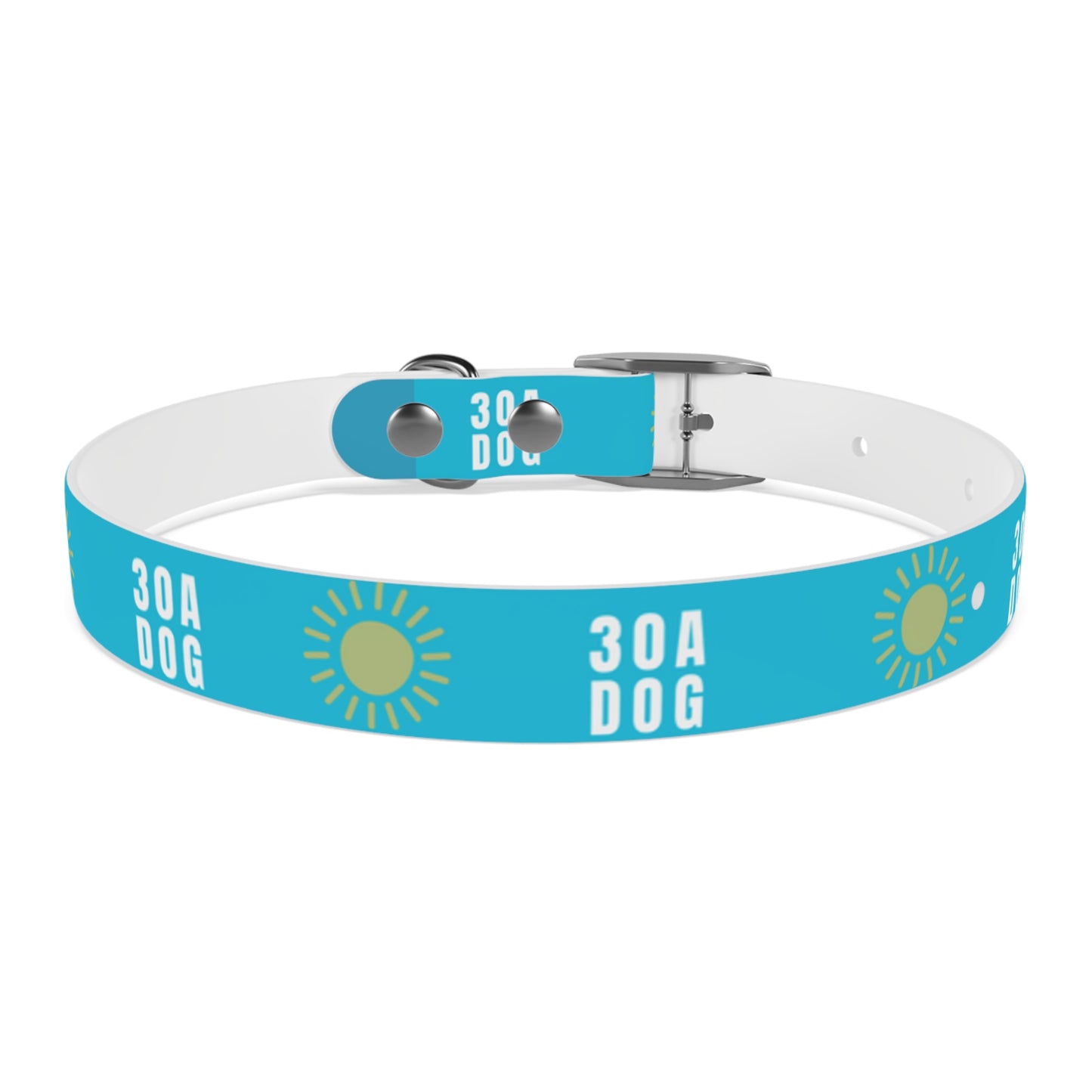 30A Dog Collar Turquoise