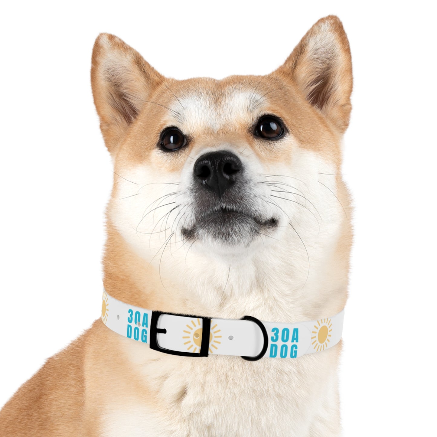 30A Dog Collar White