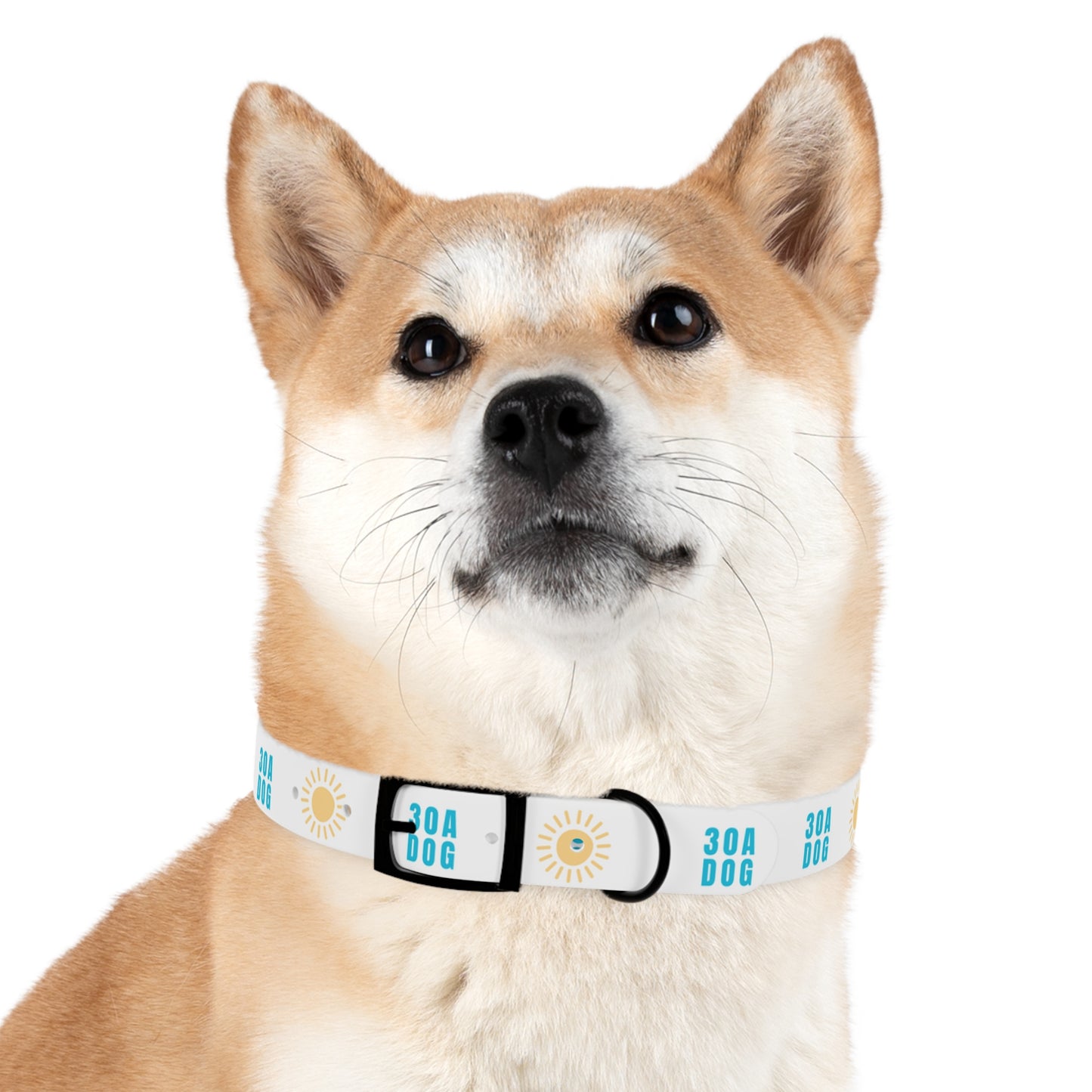 30A Dog Collar White