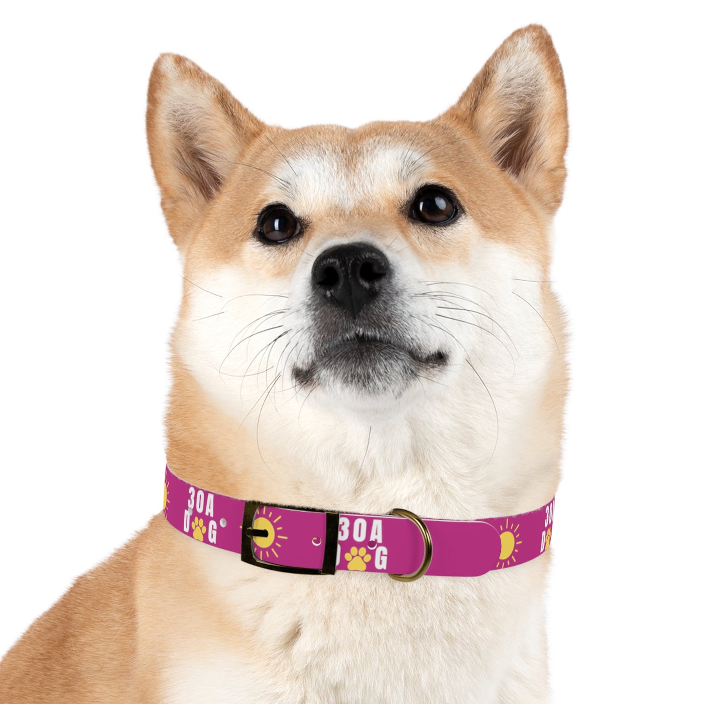 30A Dog Paw Collar Pink