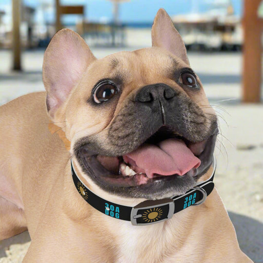 30A Dog Collar Black