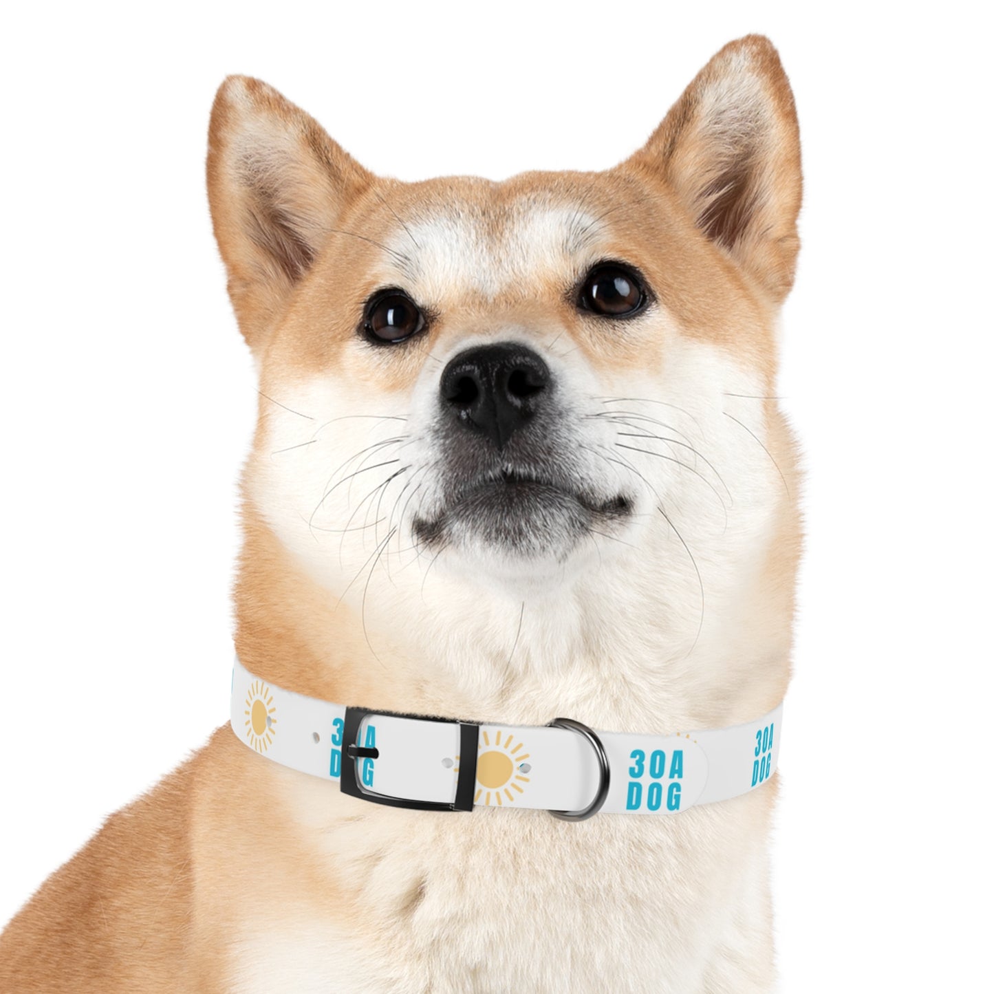 30A Dog Collar White