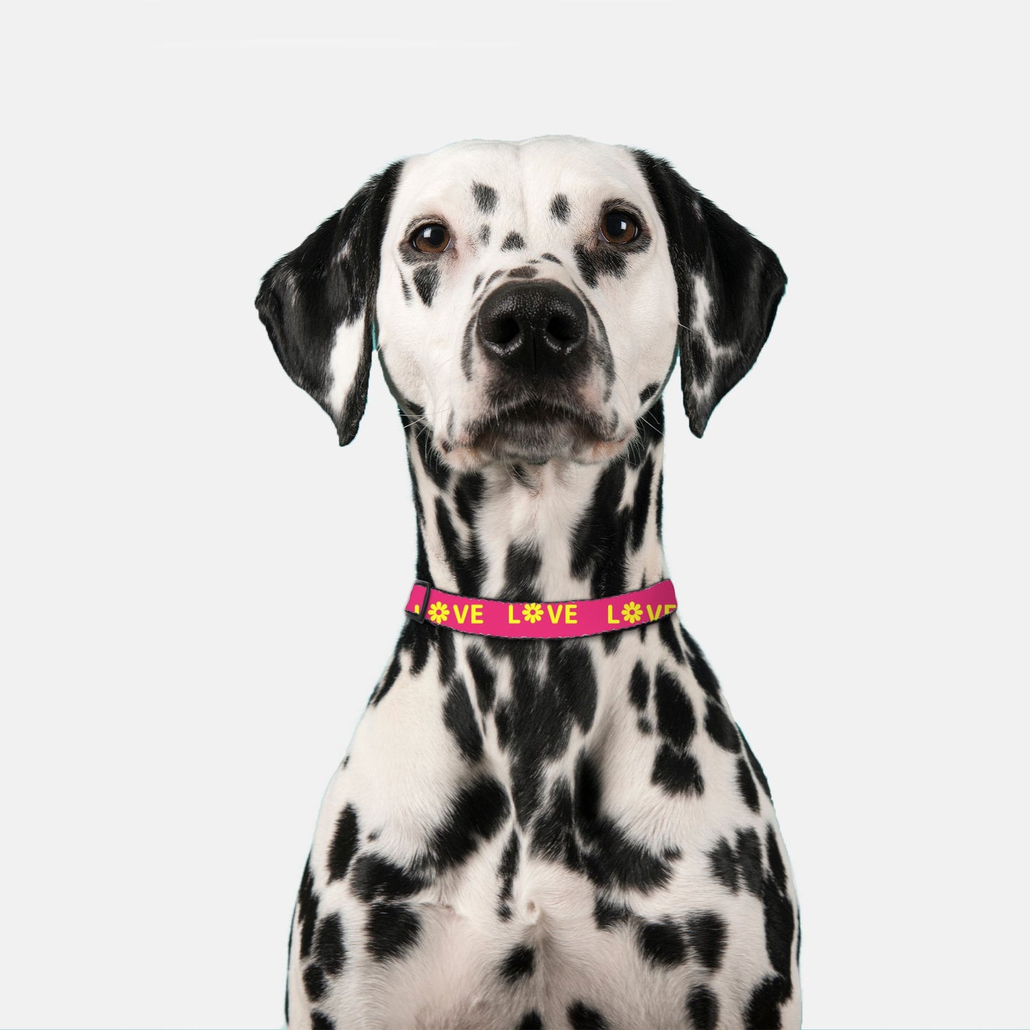 Love Pet Collar (Pink/Yellow)