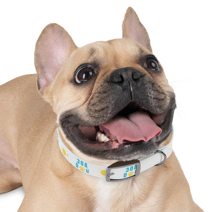 30A Dog Paw Collar White