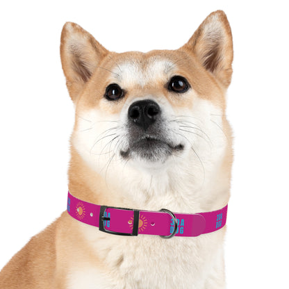 30A Dog Collar Pink