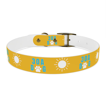 30A Dog Collar Yellow