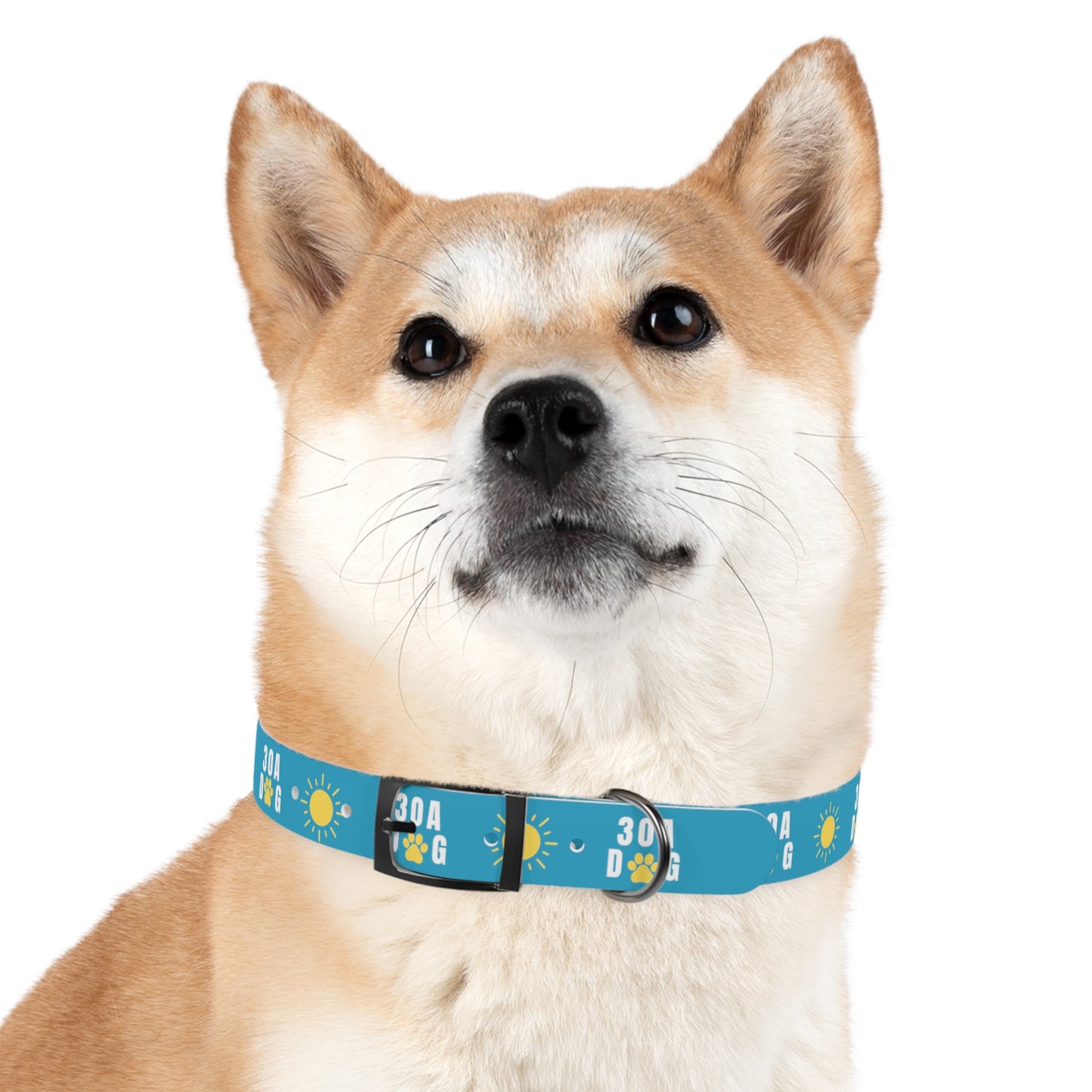 30A Dog Paw Collar Turquoise