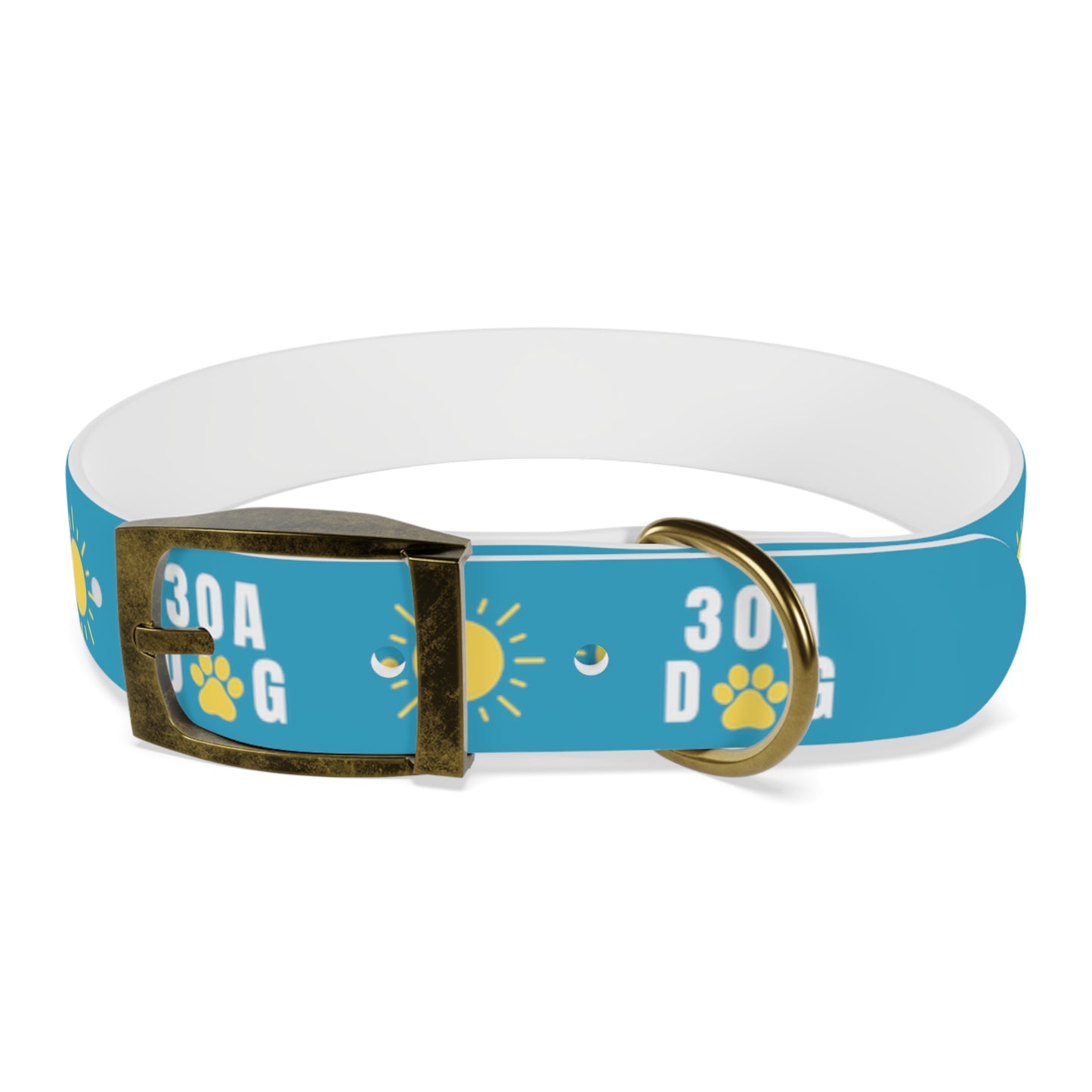 30A Dog Paw Collar Turquoise