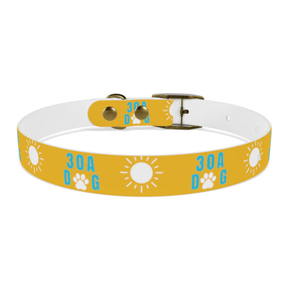 30A Dog Collar Yellow