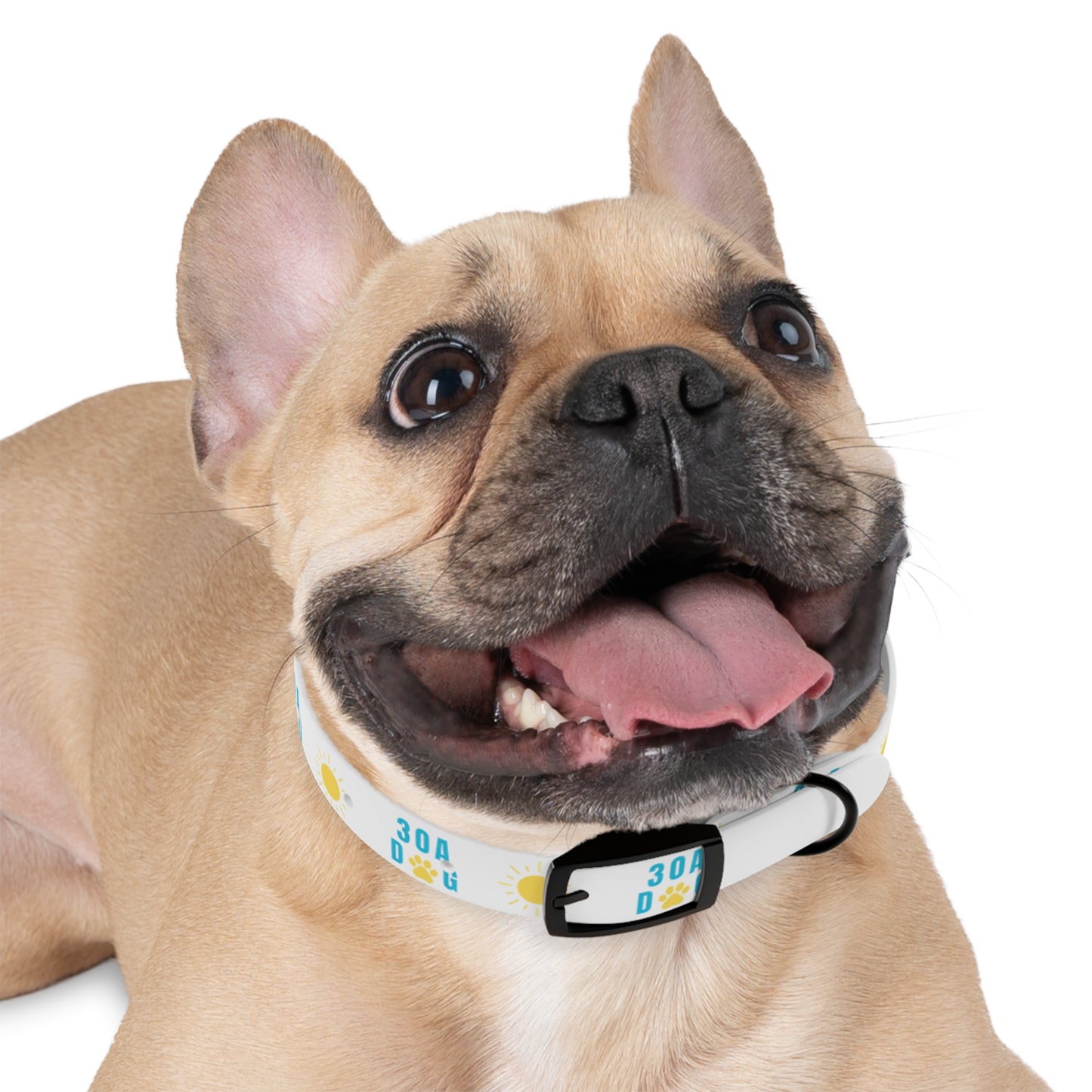 30A Dog Paw Collar White