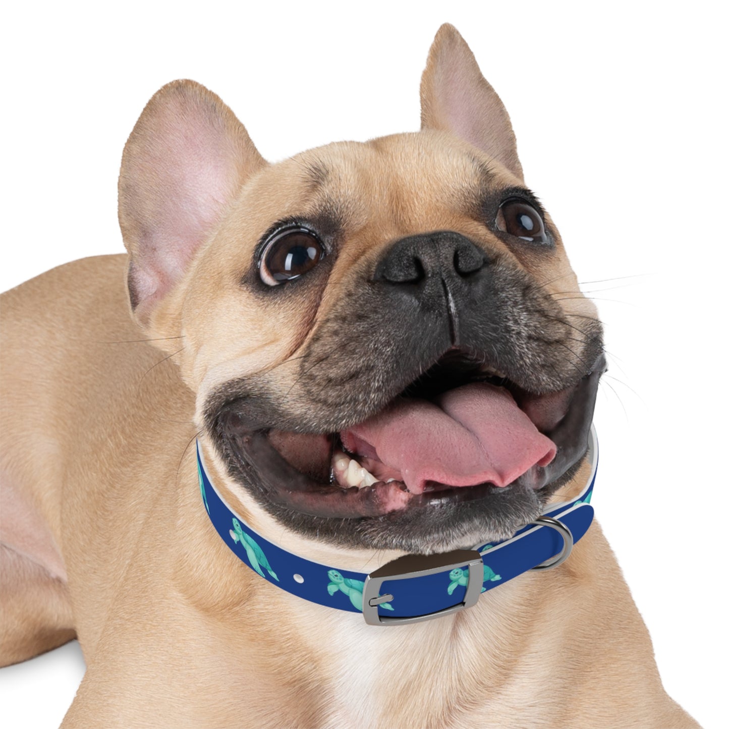 Turtles Dog Collar Ocean Blue