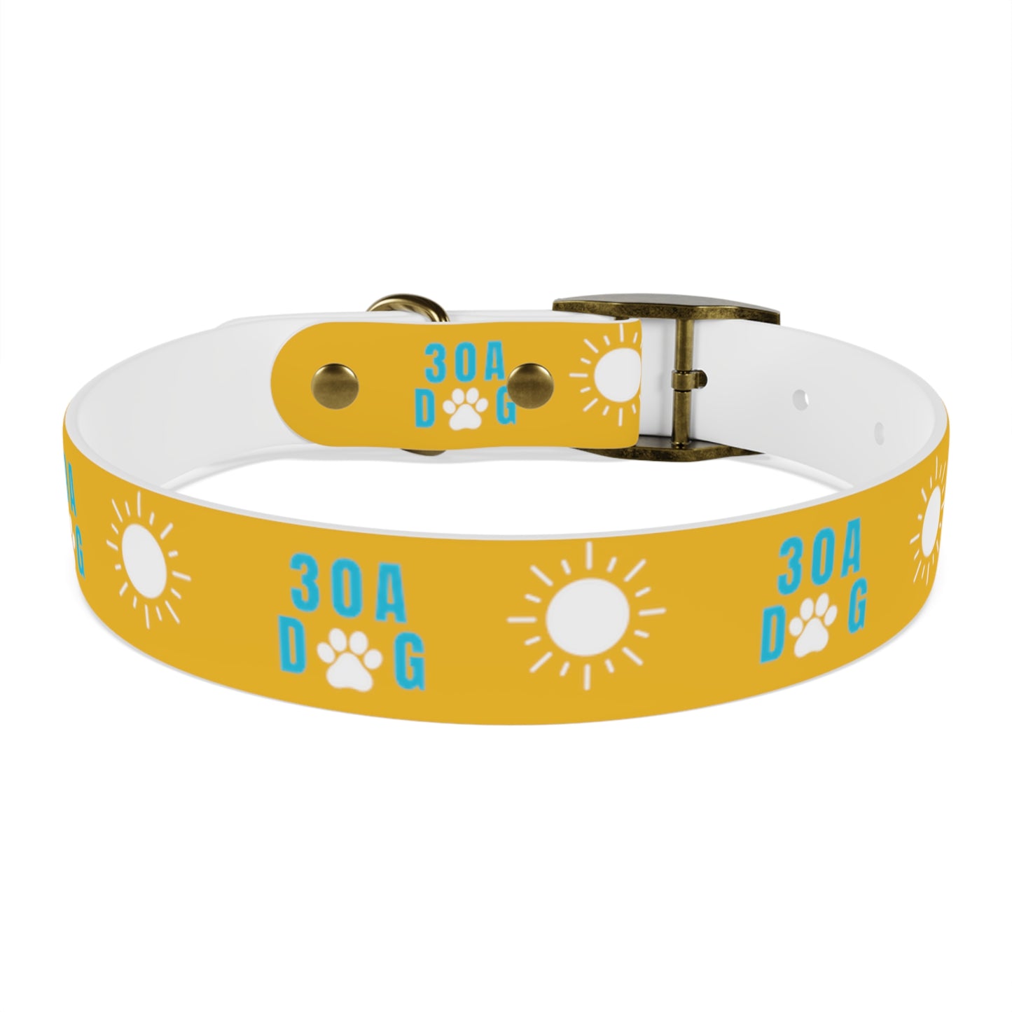 30A Dog Collar Yellow