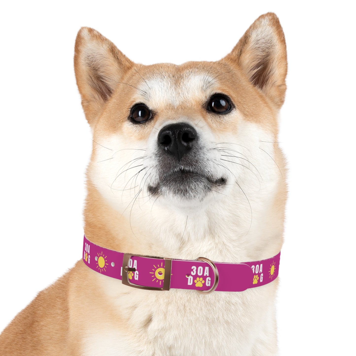 30A Dog Paw Collar Pink