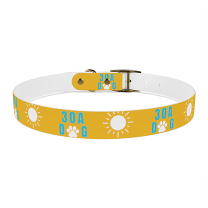 30A Dog Collar Yellow