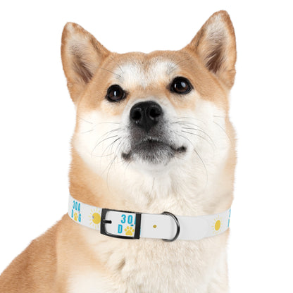 30A Dog Paw Collar White