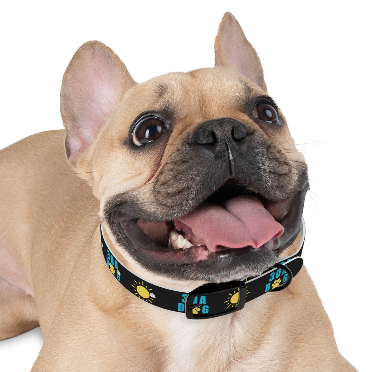 30A Dog Paw Collar Black