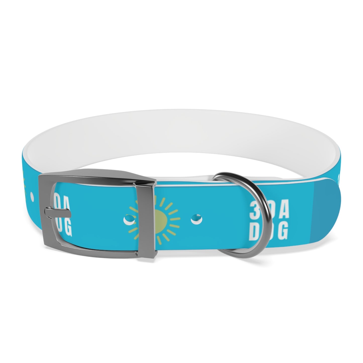 30A Dog Collar Turquoise
