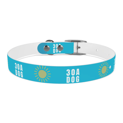 30A Dog Collar Turquoise
