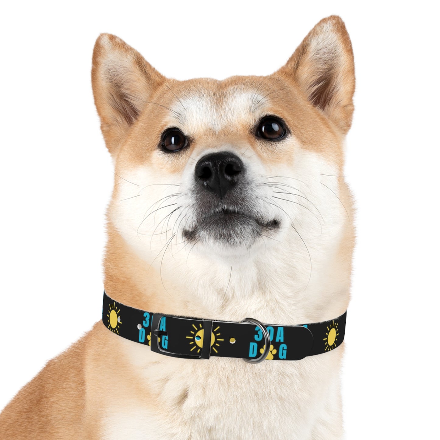 30A Dog Paw Collar Black