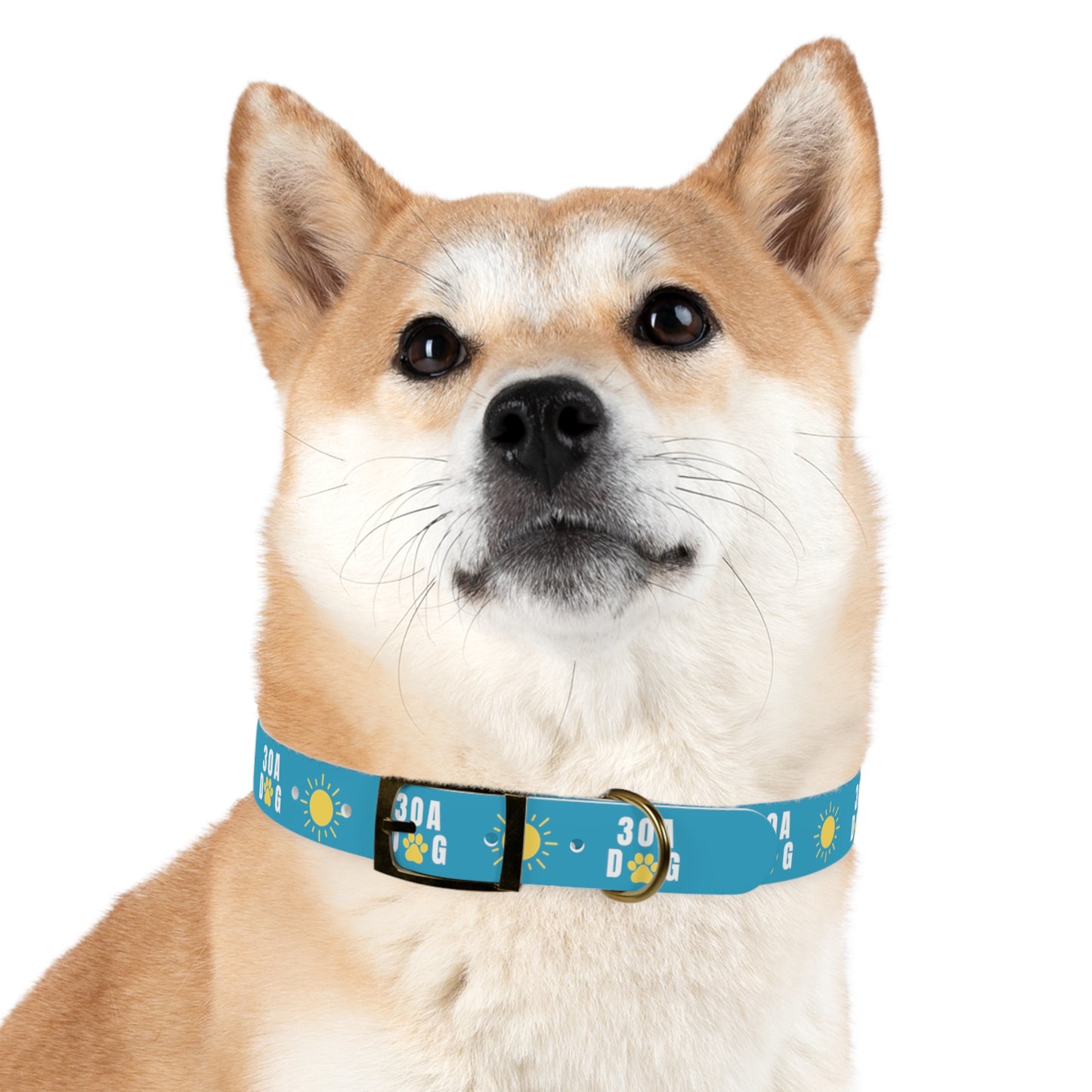 30A Dog Paw Collar Turquoise