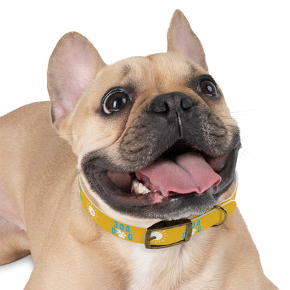 30A Dog Collar Yellow
