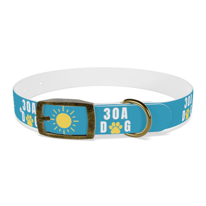 30A Dog Paw Collar Turquoise