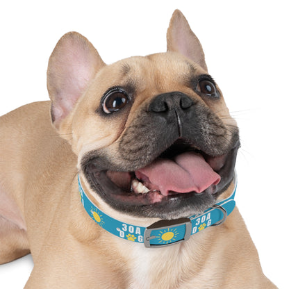 30A Dog Paw Collar Turquoise