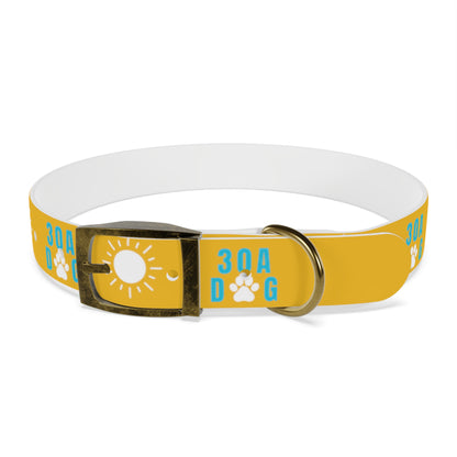 30A Dog Collar Yellow