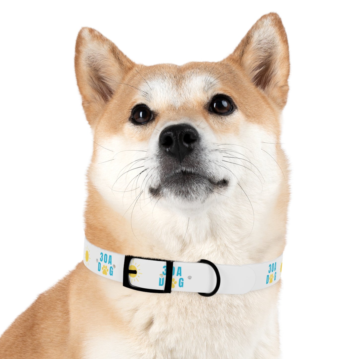 30A Dog Paw Collar White