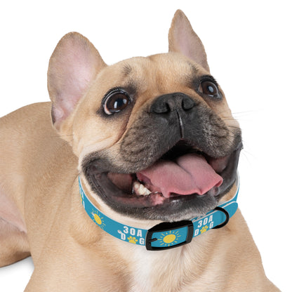 30A Dog Paw Collar Turquoise