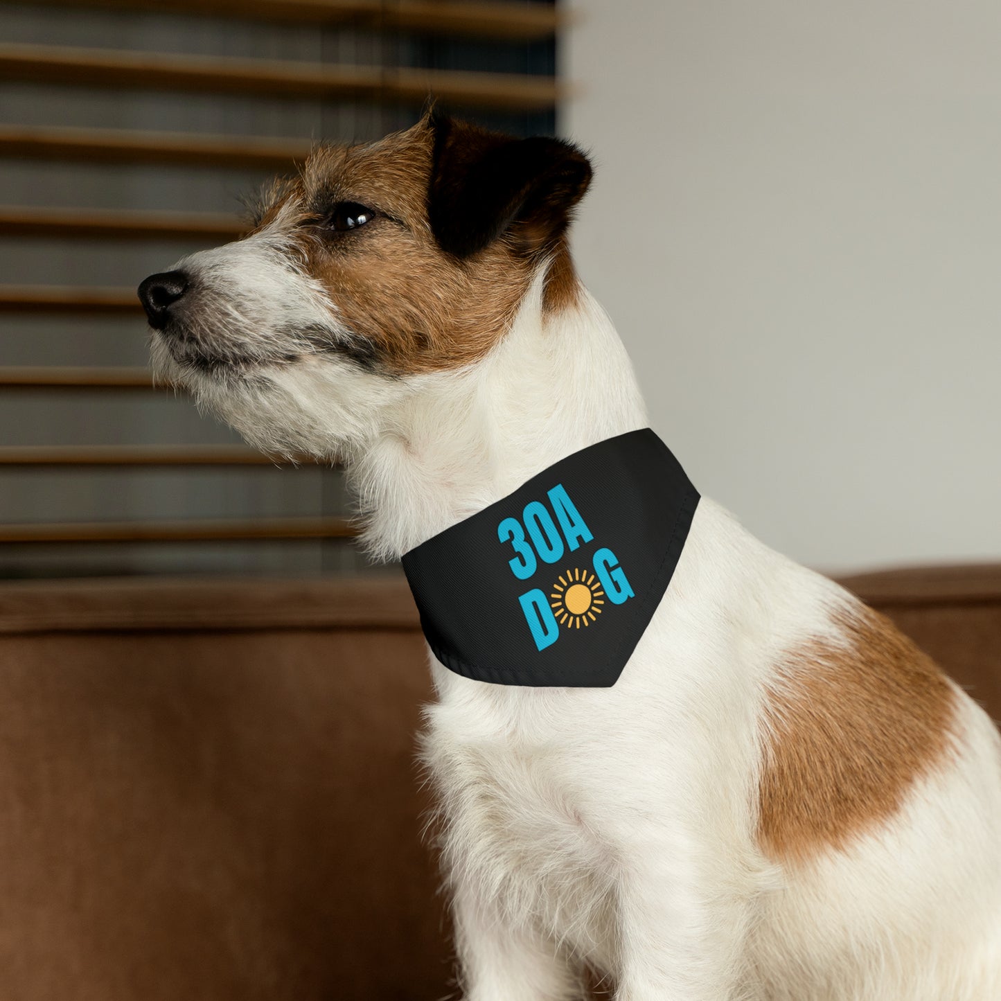 30A Pet Bandana Collar Black