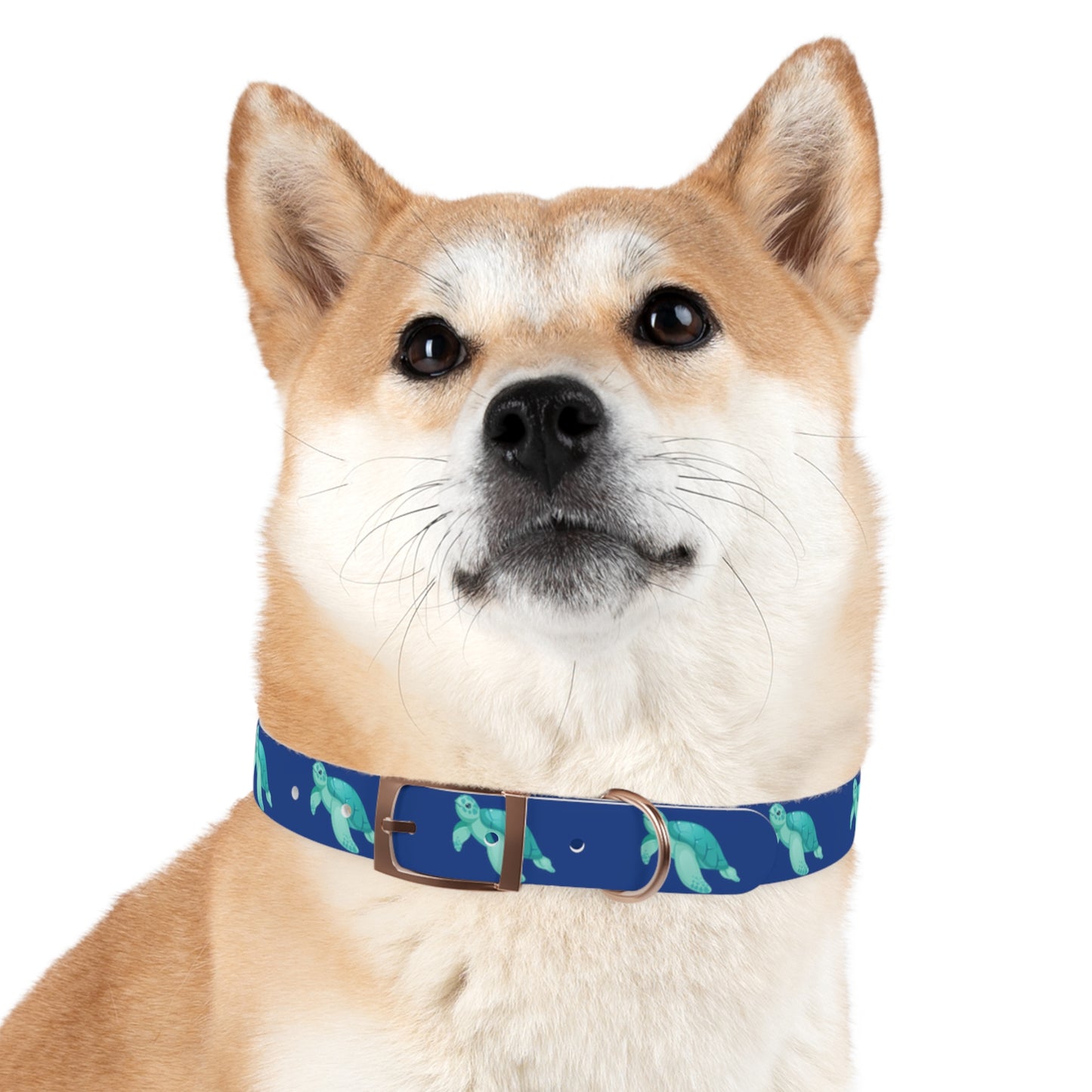 Turtles Dog Collar Ocean Blue