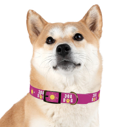 30A Dog Paw Collar Pink