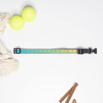 Sea Horse Ombre Pet Collar