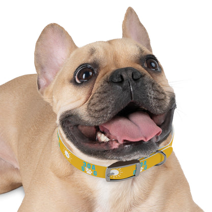 30A Dog Collar Yellow