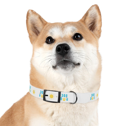 30A Dog Paw Collar White