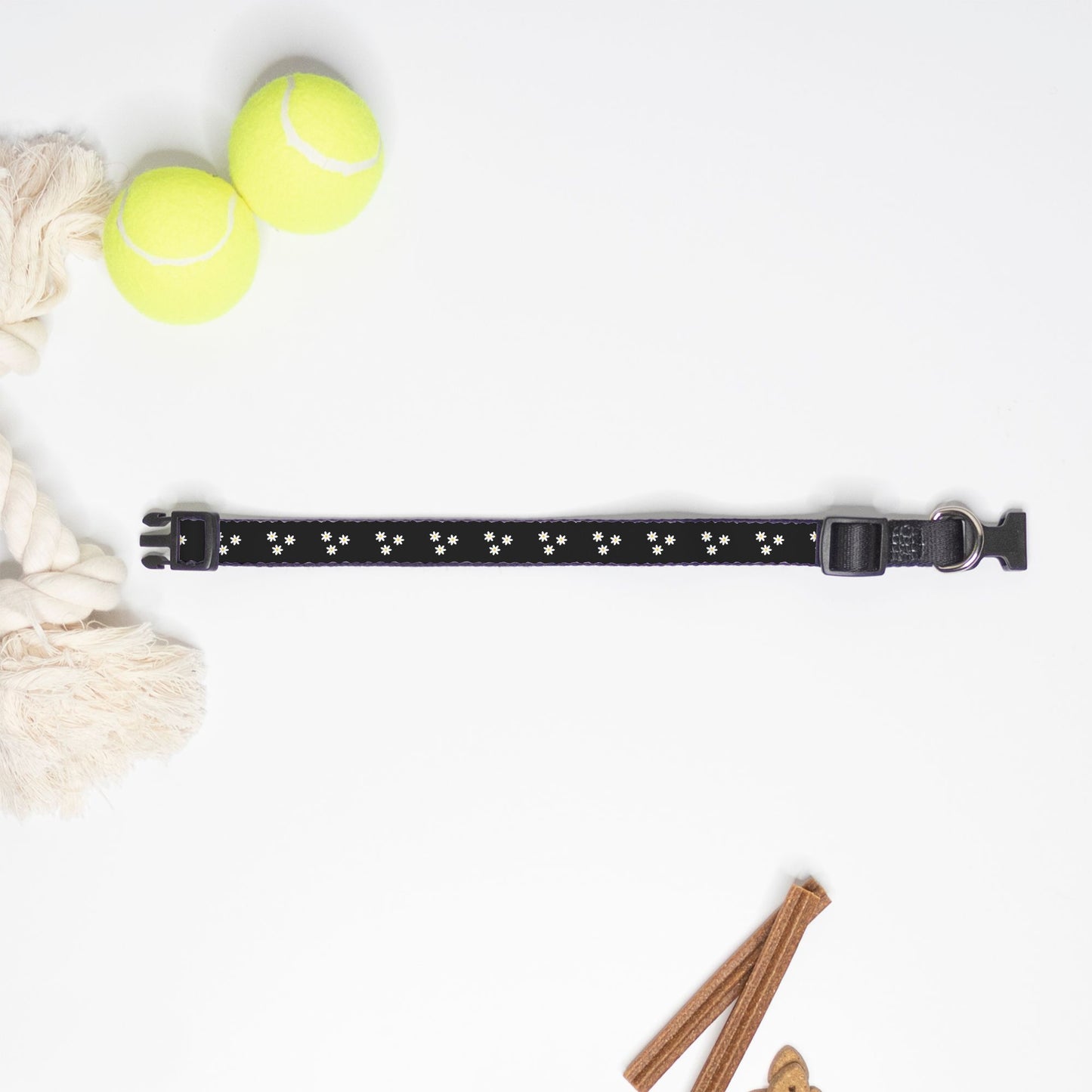 Dancing' Daisies Pet Collar Black