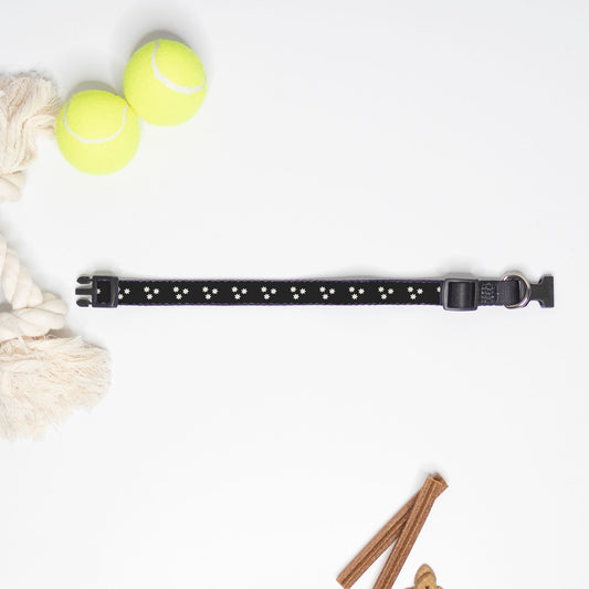 Dancing' Daisies Pet Collar Black
