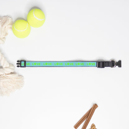 Love Pet Collar (Turquoise/Lime)