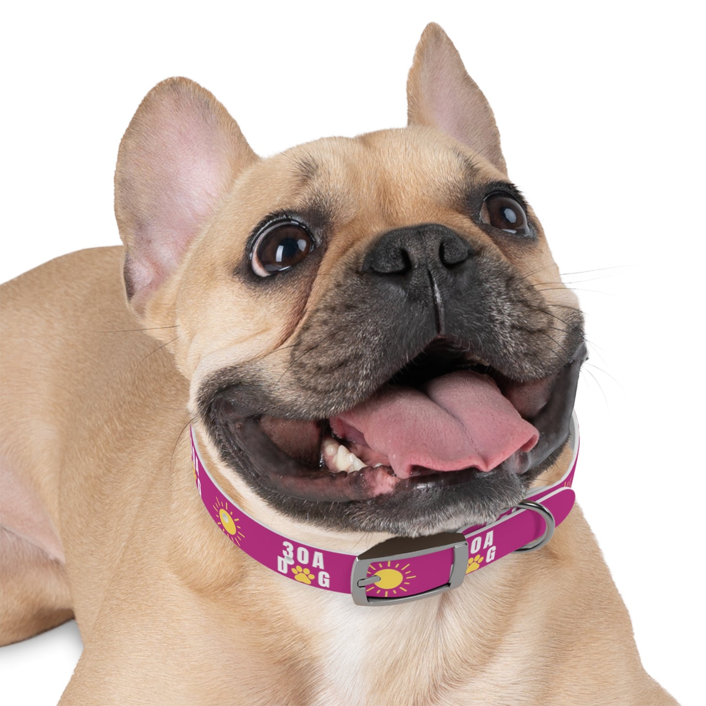 30A Dog Paw Collar Pink