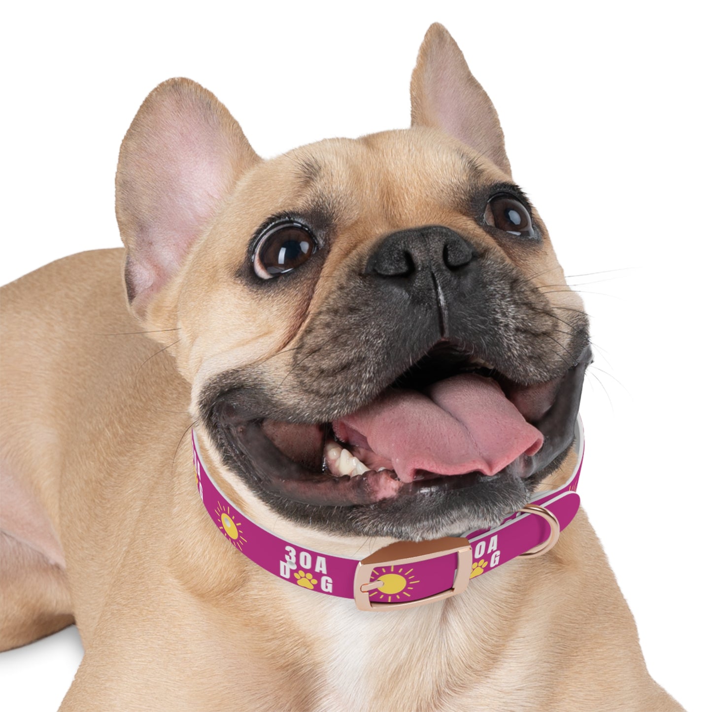30A Dog Paw Collar Pink