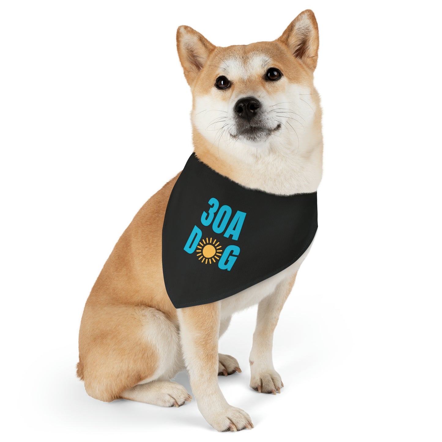 30A Pet Bandana Collar Black