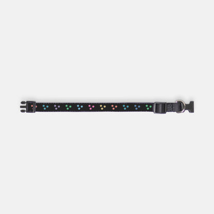 Flower Power Pet Collar Black Multi Color