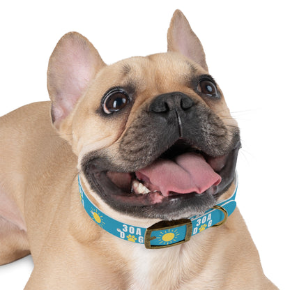 30A Dog Paw Collar Turquoise