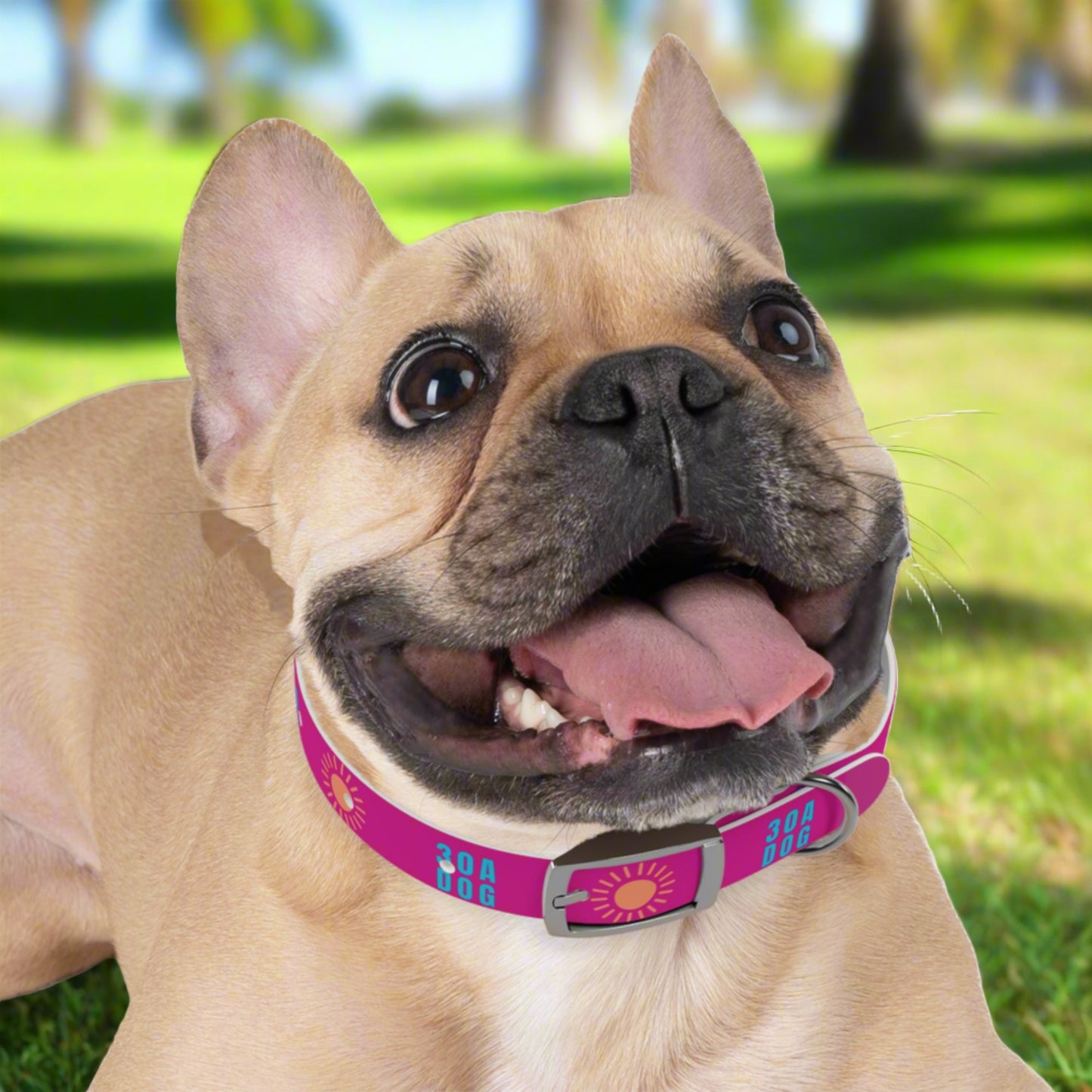 30A Dog Collar Pink