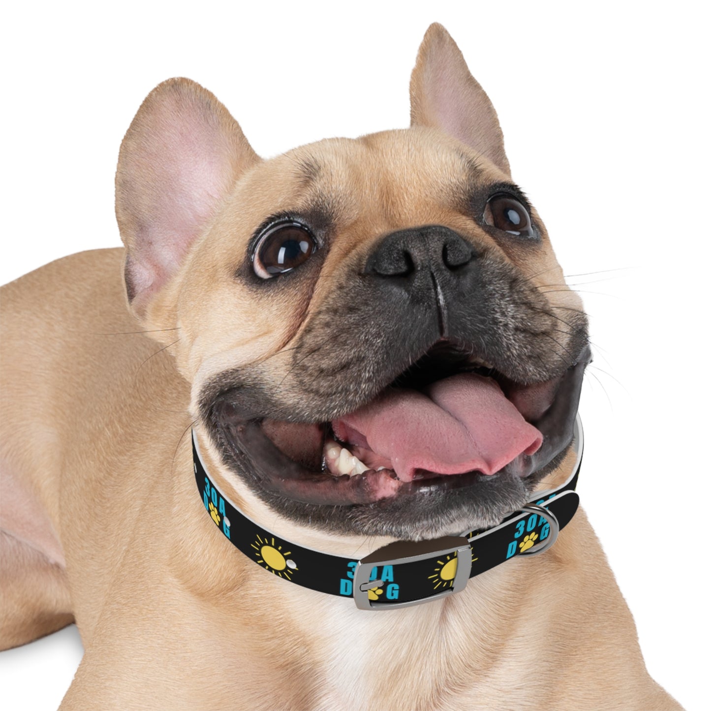 30A Dog Paw Collar Black