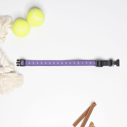 Jelly Fish Pet Collar Purple